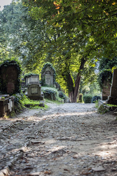 Saxon Gravestone, Romania