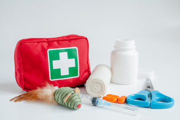 concept pets are treatment on white background