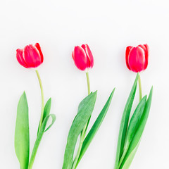 Tulip flowers isolated on white background. Flat lay, Top view.