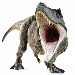 A Tyrannosaurus Rex attack on an isolated white background . 3d rendering © Digital Storm