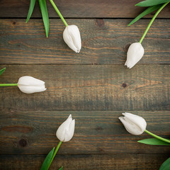Frame with white tulips flowers on background. Flat lay, Top view