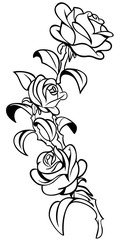 Roses tattoo Vector