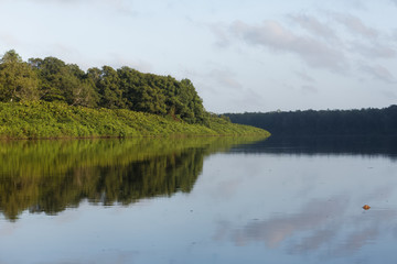 Le fleuve Sinnamary et la forêt tropicale avant d'arriver à son estuaire en Guyane française