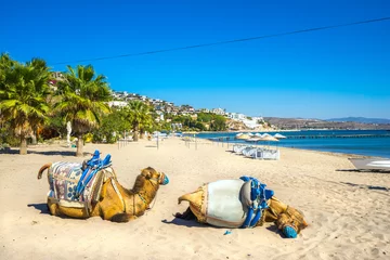 Keuken spatwand met foto Camel Beach in Bitez, Bodrum, Turkey © Luciano Mortula-LGM