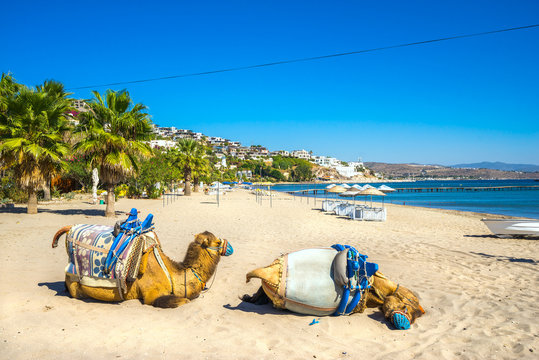 Camel Beach in Bitez, Bodrum, Turkey