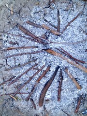 Ashes after fire