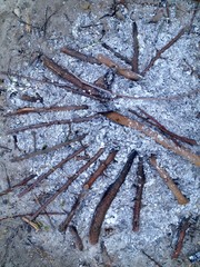 Ashes after fire