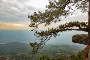 Landscape of Phukradung national park of Thailand
