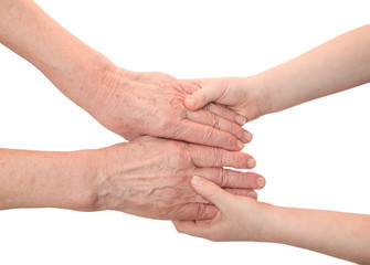 Fototapeta premium Hands of an elderly person in the hands of a child. Isolated on