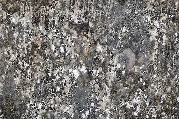 white concrete wall texture