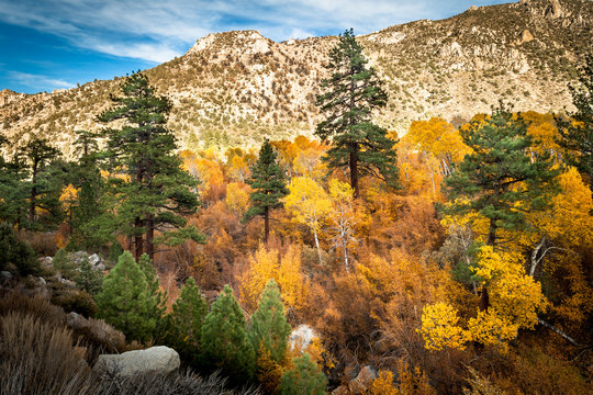 Aspendell near Bishop, CA