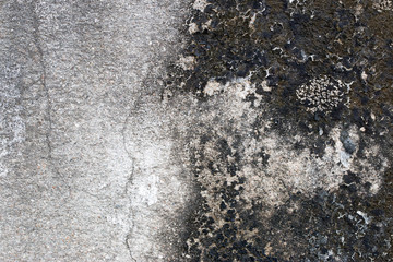 white concrete wall texture