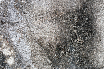white concrete wall texture