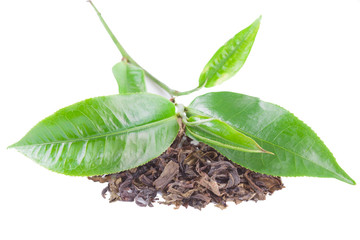 green tea leaf isolated on white background