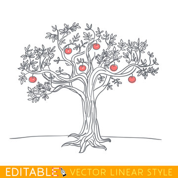 Apple tree drawing. Editable line sketch. Stock vector illustration.