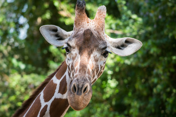 Visit to Safari Ramat Gan
