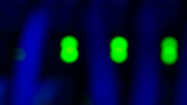 Blur, LED, servers, fiber, network, switches and panels wired network server in line. cable.network The network installed in the rack.