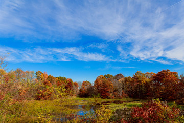 Obraz premium Autumn Landscape. Yellow Trees, Blue Sky and Lake. Nature Scenery in Fall.