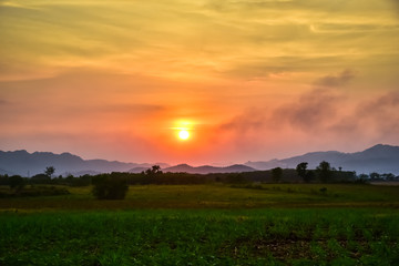 Homegrown vegetable and mountain view with sunset sky nature landscape background.
