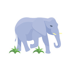 Fototapeta premium Elephant vector illustration.