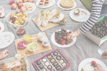 Picnic Lunch Meal Outdoors Park Food Concept