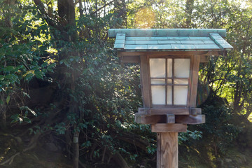 Japanese lantern