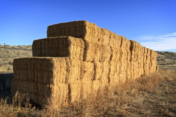 Farmer's Haystack