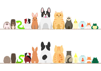 pet animals border set, front view and rear view © Ayumi Onishi