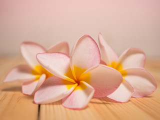 Fototapeta na wymiar Spa flowers pink filter on wood background