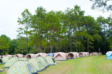 Camping in the forest