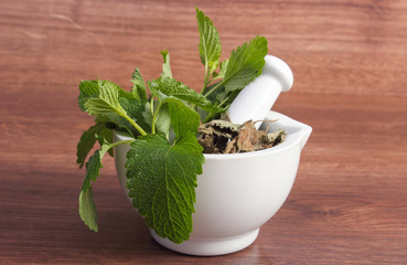 Fresh green and dried lemon balm in mortar, herbalism, alternative medicine