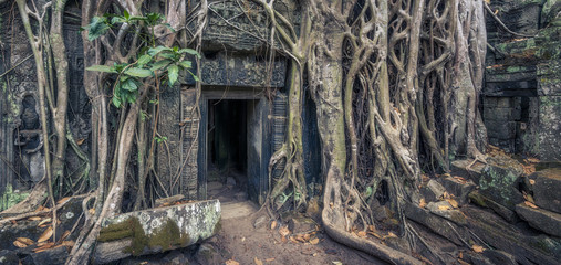 Lost Kingdom, Cambodia