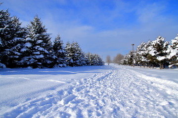 Sapporo winter scenery
