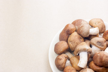 haft Shiitake dish right side