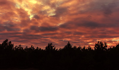 Fiery orange colorful sunset sky.
