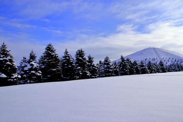 Sapporo winter scenery