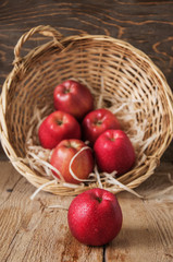 Fototapeta na wymiar A Group Of Red Ripe Apples