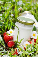 organic yogurt