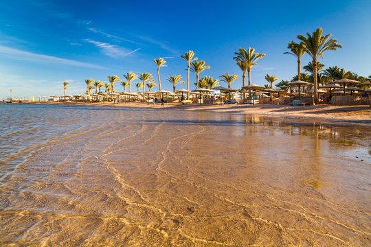 Beautiful sandy beach with palm trees at sunset. Egypt