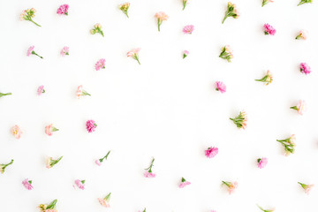 Frame with pink and beige wildflower buds, green leaves, branches on white background. Flat lay, top view. Valentine's background