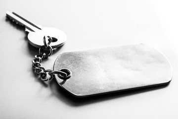 Key metallic.silhouette style