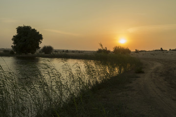 Obraz na płótnie Canvas Golden sunset in the desert. The landscape of desert and lake.