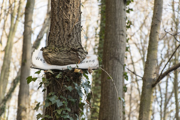 Baum mit Schild