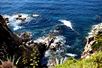 The Coast Of Barcelona