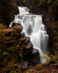 Fototapeta premium D'Alton Falls, Cradle Mountain, Overland Track, Tasmania, Australia