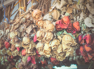 Retro color filter, Bouquet of dried dying roses, Love concept 