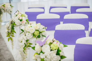 Chairs for the guest on the wedding