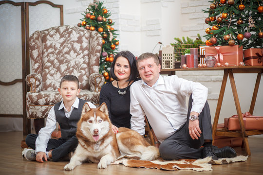 mother, father and little boy with Husky background Christmas tree