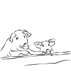 Contour drawing. Pig with piglet.