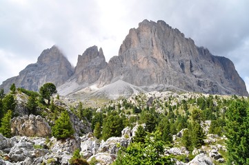 gruppo del sassolungo